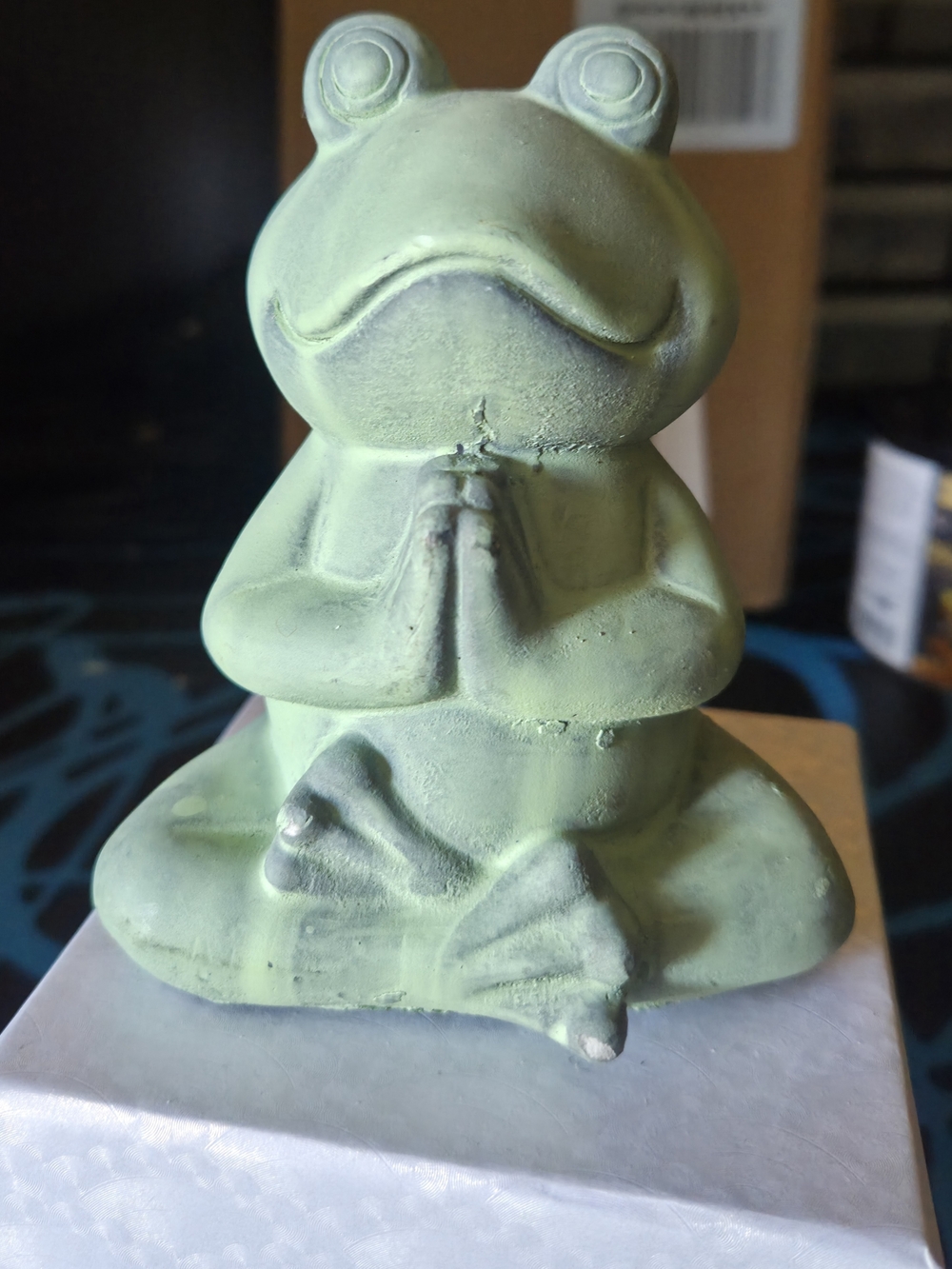 Namaste Frog